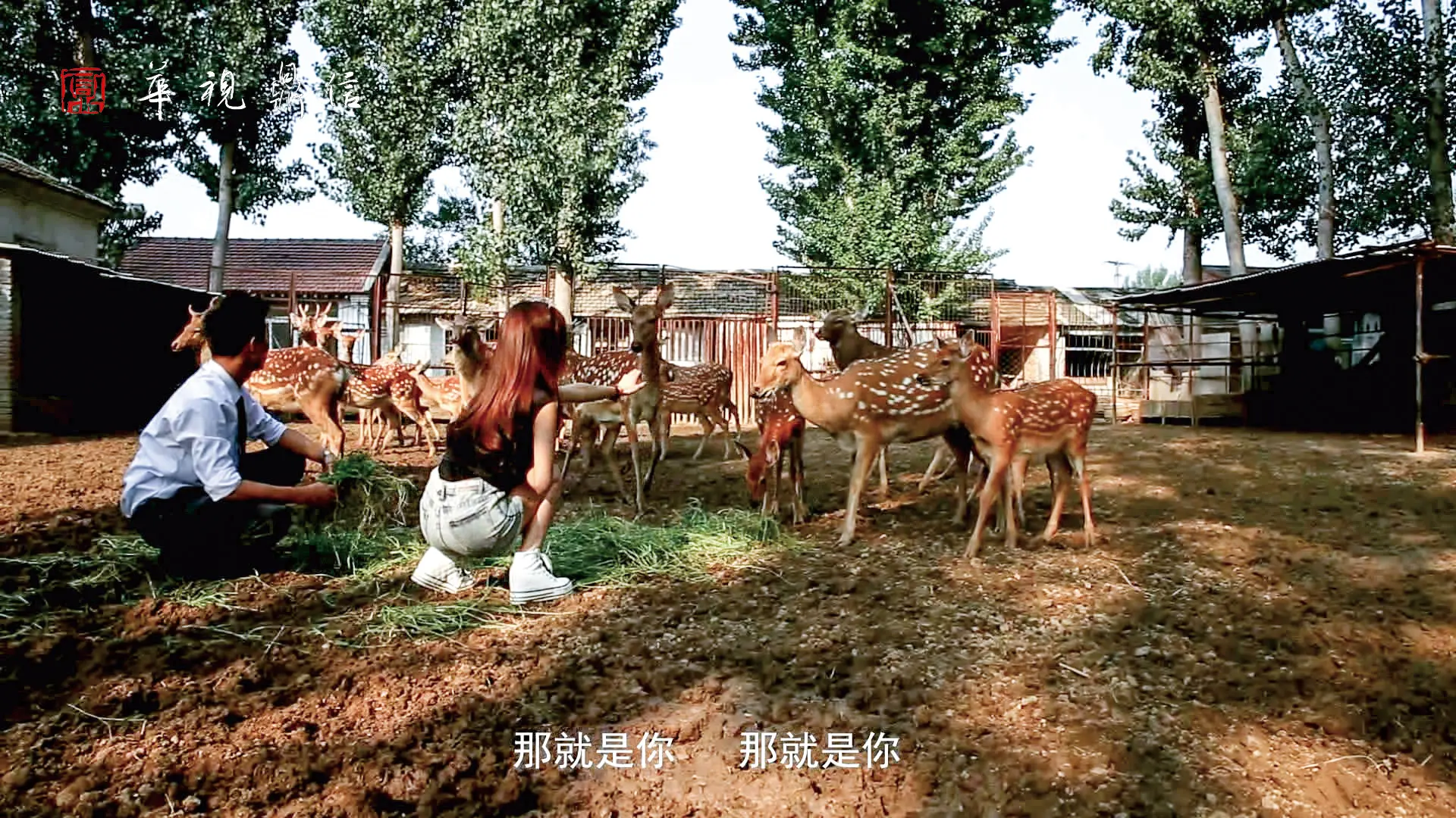 美食微电影《那就是你》现场拍摄