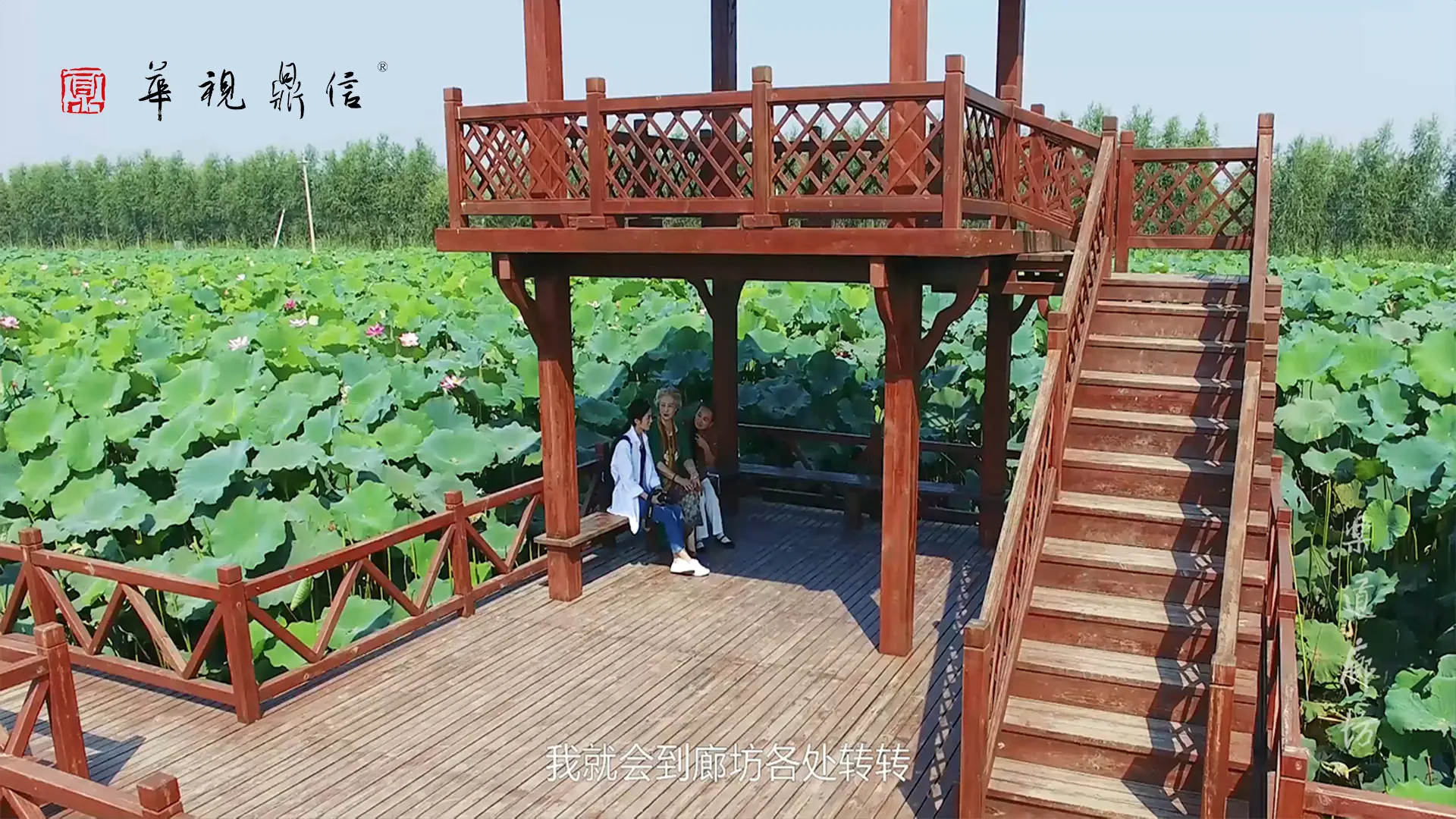 微电影《乐道廊坊》在香河万亩荷塘的现场拍摄